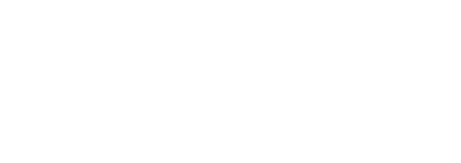 VİSİON TRADE